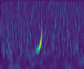 _images/Chirp.png