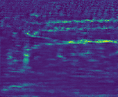 _images/Wandering_Line.png